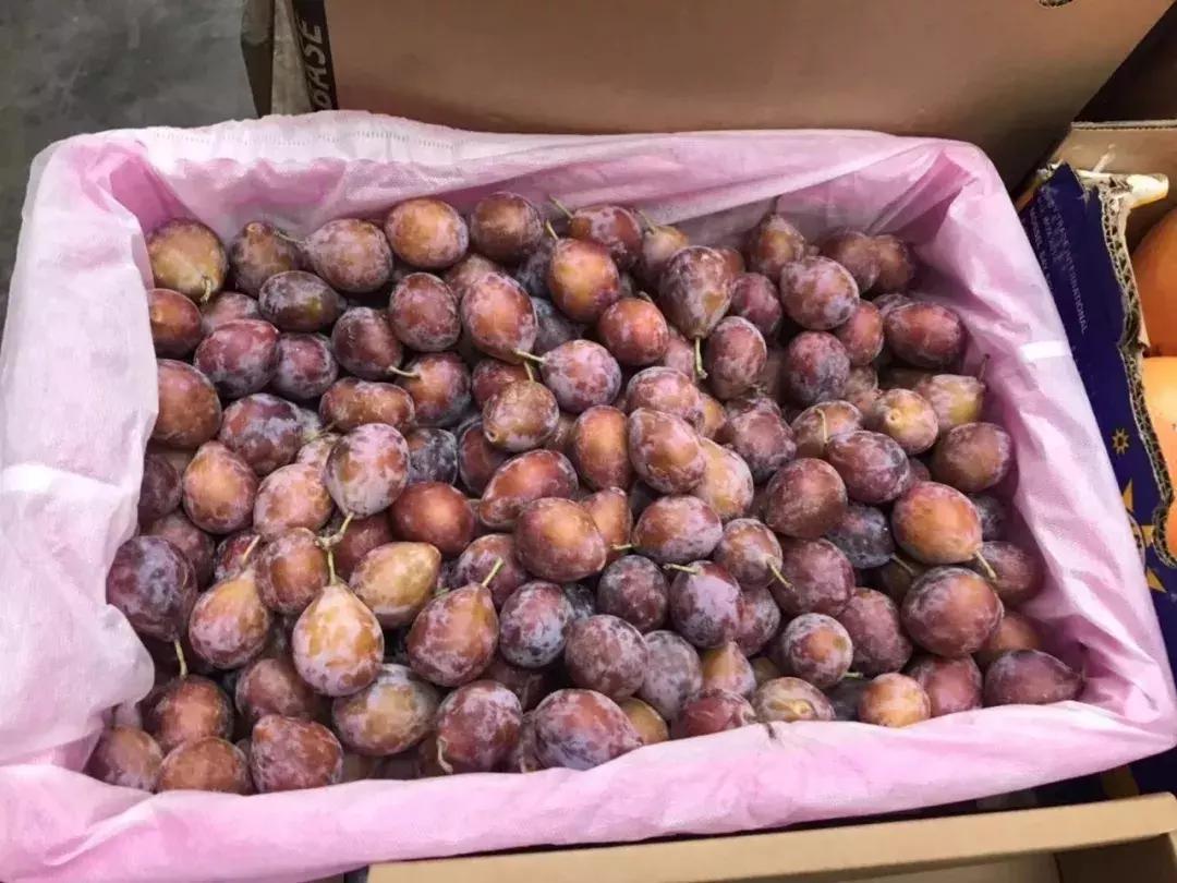 进口的水果有哪些,进口水果价格高的解决办法