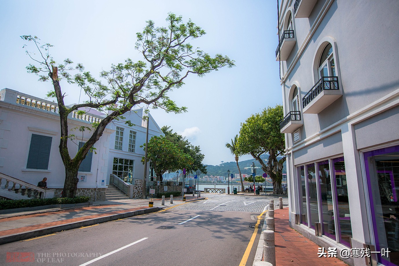 探索澳门美食,澳门最好吃蛋挞在哪里
