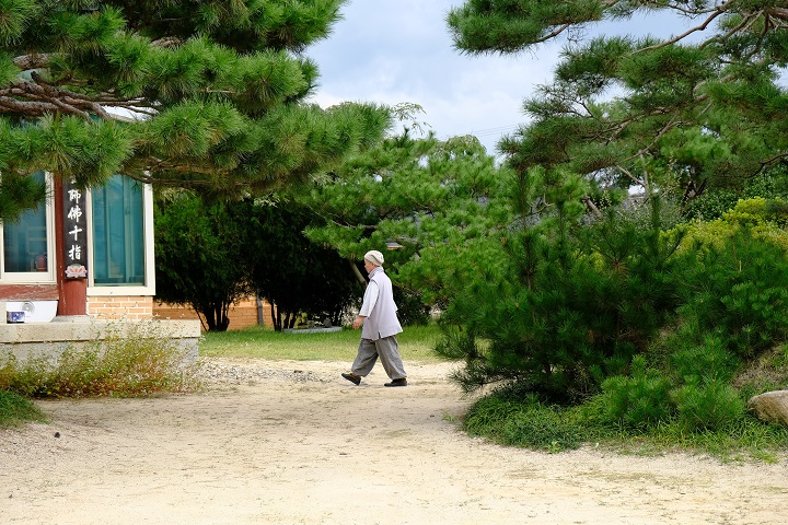 韩国庆州特色旅游景点,韩国庆州旅游攻略