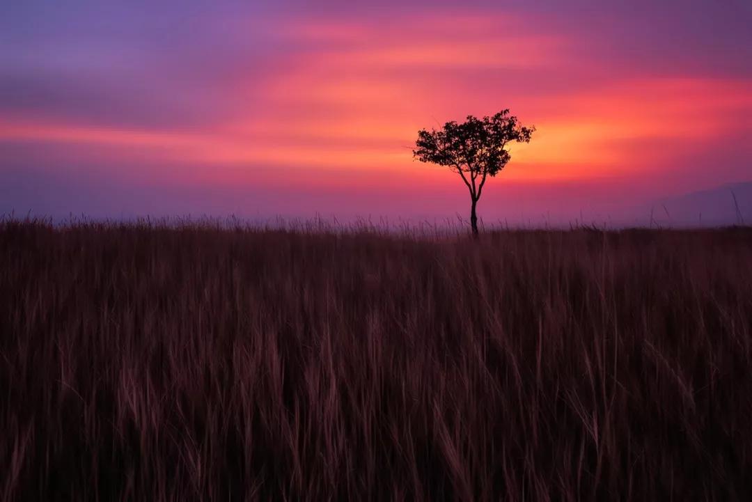 快准狠！超广角灯泡头+M15，轻轻松松拍大片