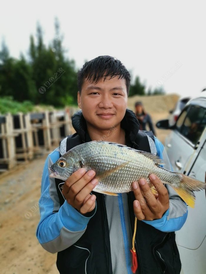 矶钓一竿远,精彩矶钓