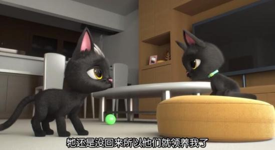 黑猫鲁道夫真人版,黑猫鲁道夫