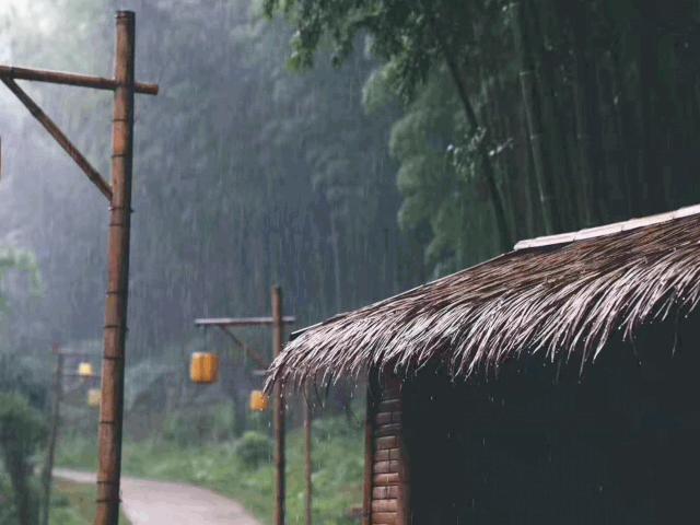 FineYoga回馈*会：社**抑郁症疗愈营（课程，食宿，家属全部免费）