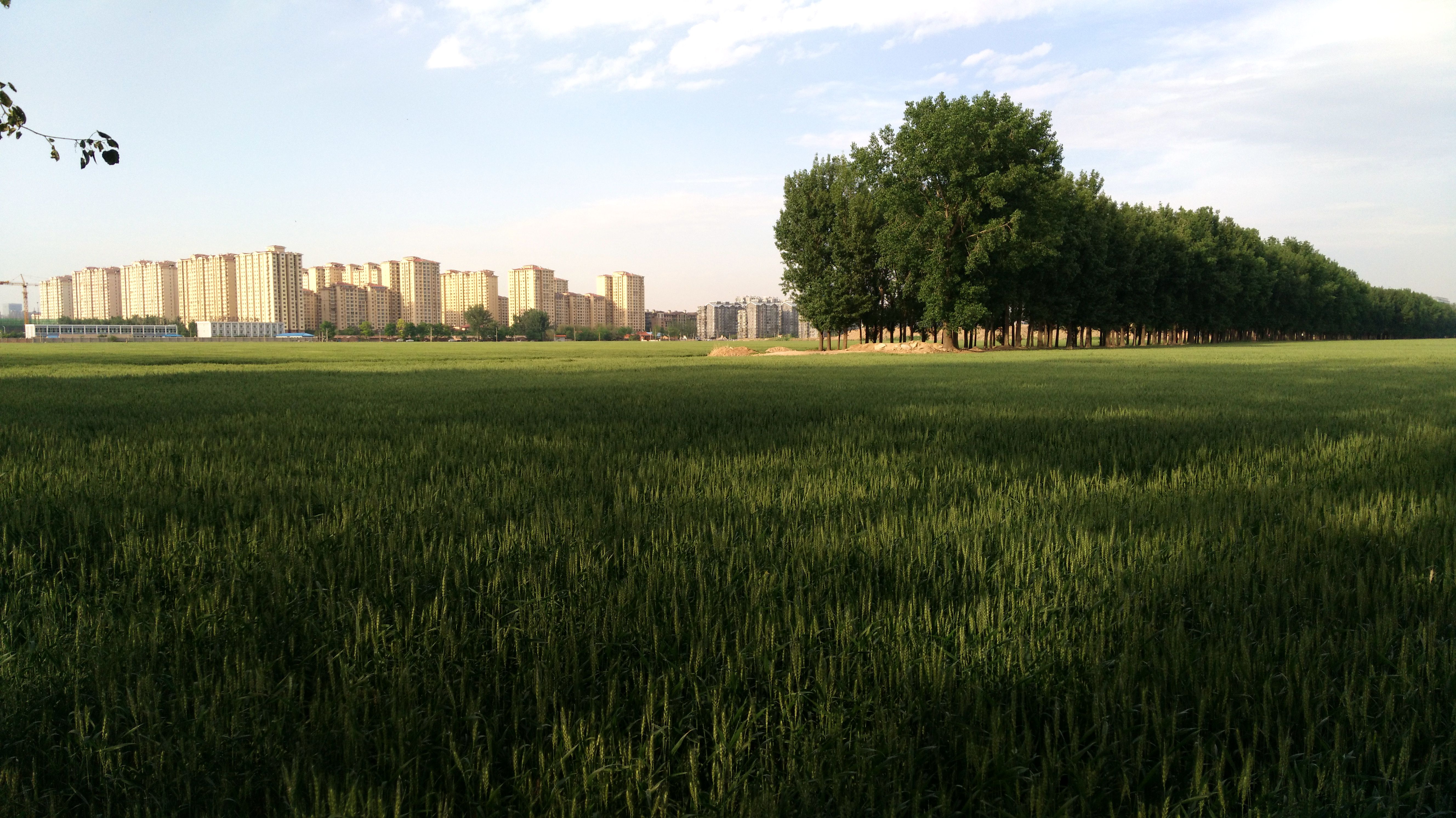 1366x768跟1920x1080区别很大吗,1366x768是超清吗