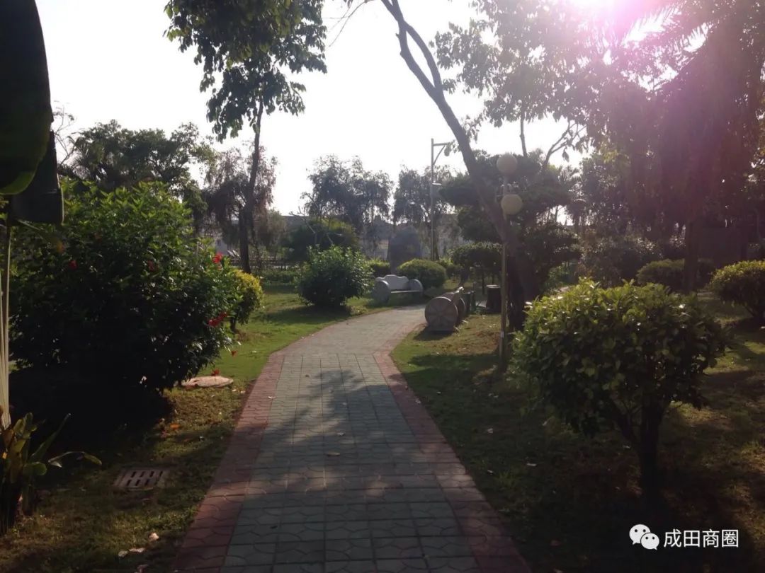 成田文体公园国庆,成田镇文体公园