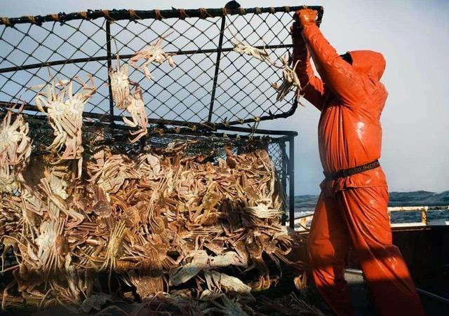 捕蟹人真实收入,捕蟹人能赚钱吗