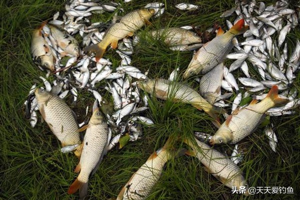 冬天钓鱼技巧与饵料,秋季钓鱼不上钩怎么回事