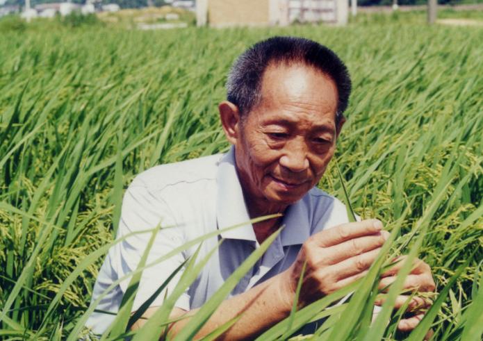 美国如何联手四大粮商,美国联合全球四大粮商