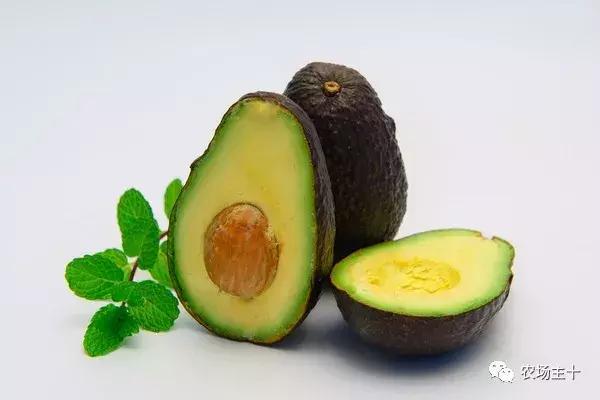 牛油果以前不爱吃的现在超级爱吃,牛油果不好吃为什么这么多人吃