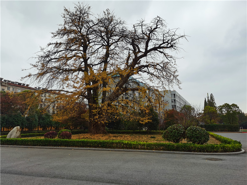 江苏泰州自驾游攻略路线,江苏泰州游览的路线图