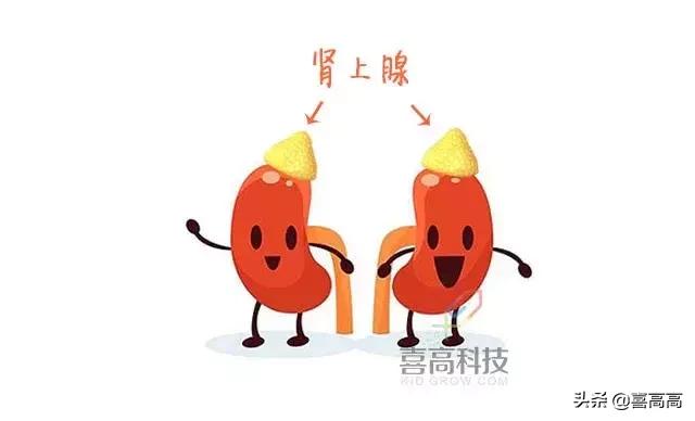 雾化药有止咳化痰的吗,不含激素的止咳雾化药