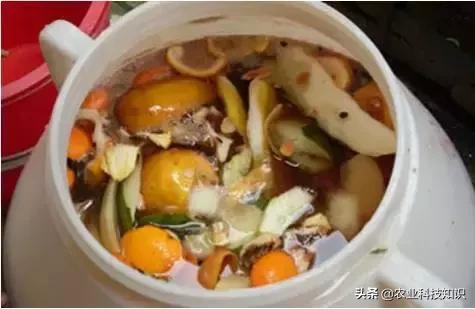 酵素制作，让厨余垃圾零废弃，秒变环保达人,内附制作方法