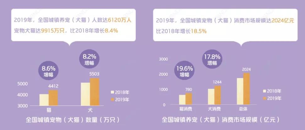 从铲屎官到创业者,他带领FURFURLAND销售额增长15倍