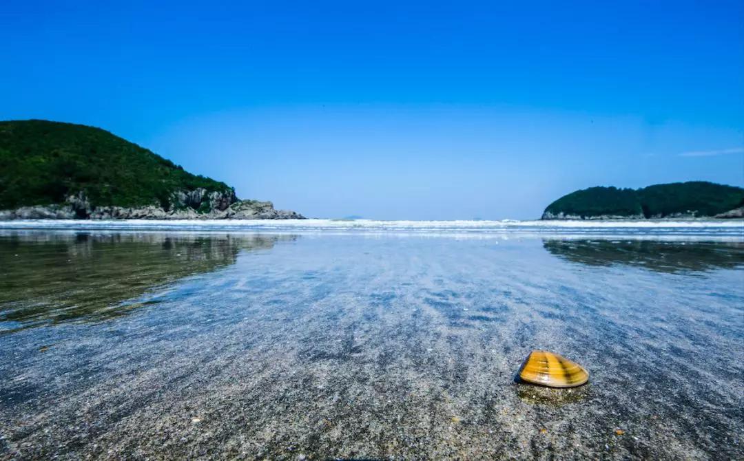 有了这座小县城，封海也封不住浙江人吃海鲜的嘴