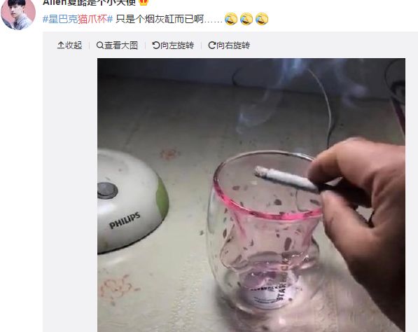 星巴克真香警告：猫爪虽香，小心挠伤