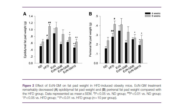 益生菌是如何改善肥胖的机制,儿童肥胖吃益生菌有效果吗
