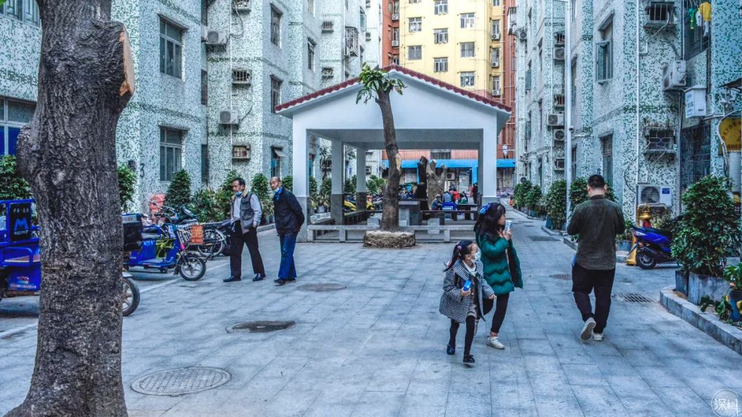 上下沙现状,上下沙来历