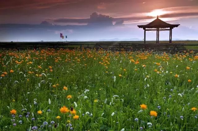 中国最美县城云南有几个,中国最美的100个地方云南