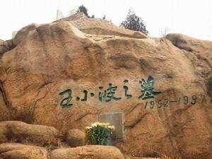 王小波是个可爱的人,王小波的爱是什么样子