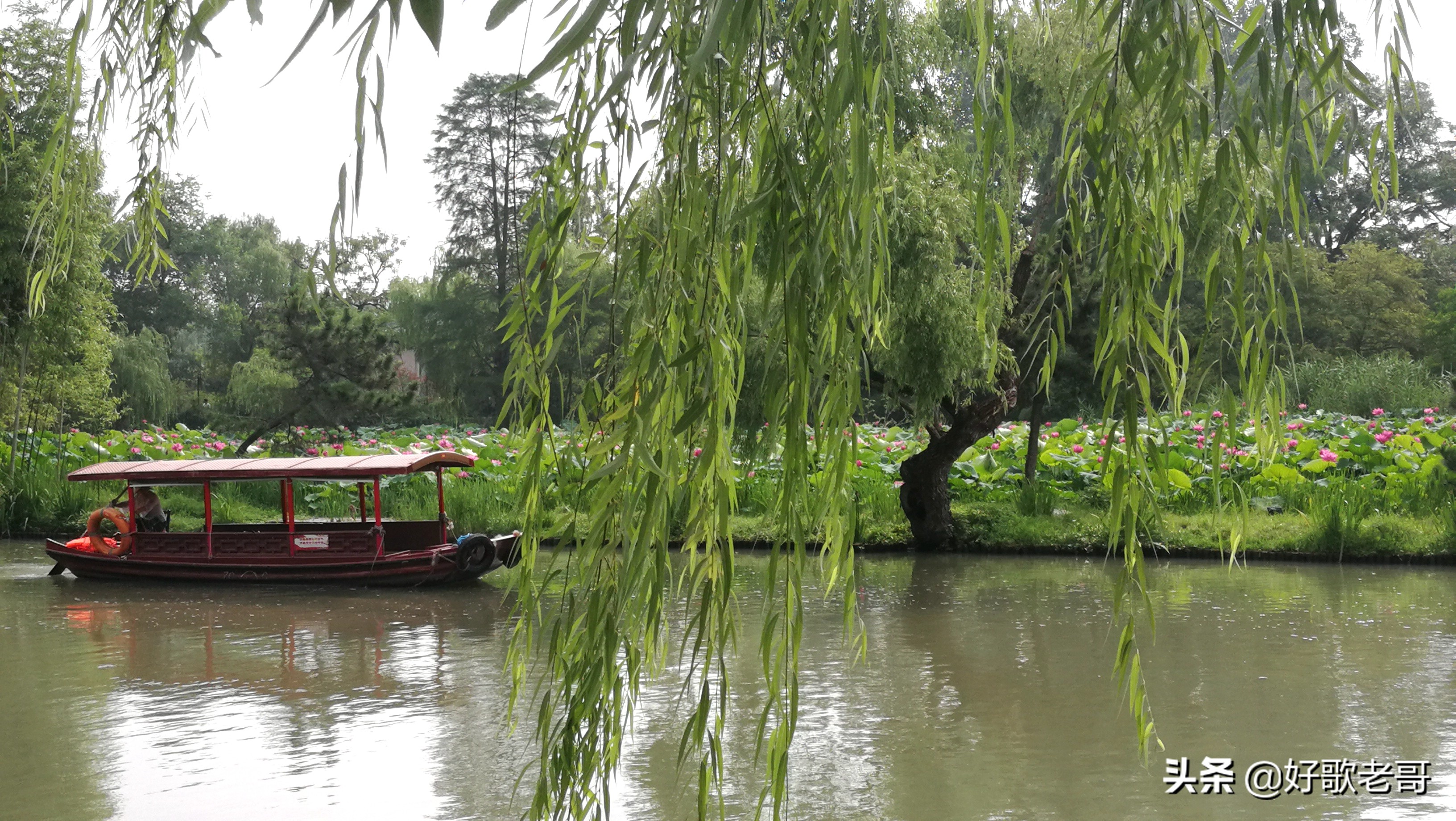 十里湖光,清澄缥碧,花木扶疏,连绵滴翠…瘦西湖游记