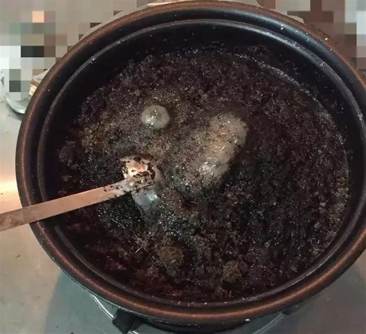 养多肉的土发霉是怎么回事,品氏泥炭土发霉了还能用吗