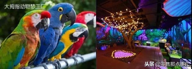 苏州星光耀商业广场,苏州星光耀广场最新消息