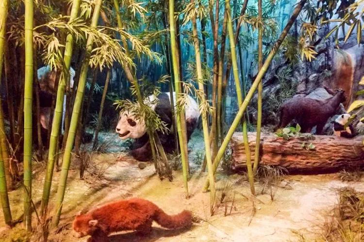 长春一日游有什么好玩的,长春一日游玩的地方都有哪些