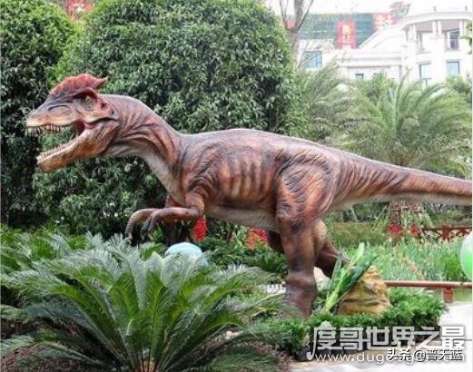 凶猛龙与恐龙大战,好凶猛的恐龙视频