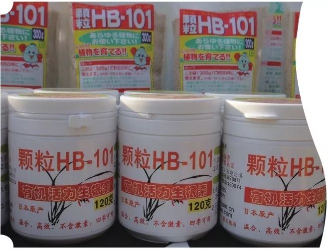 兰花肥料兰花专用土,兰花施肥用什么肥料最好