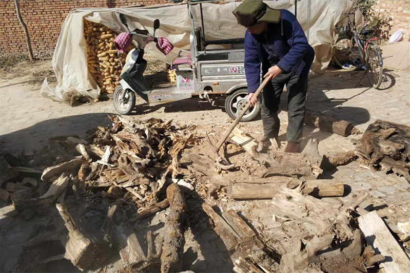 废木回收能做吗,废木回收后可以做什么原料