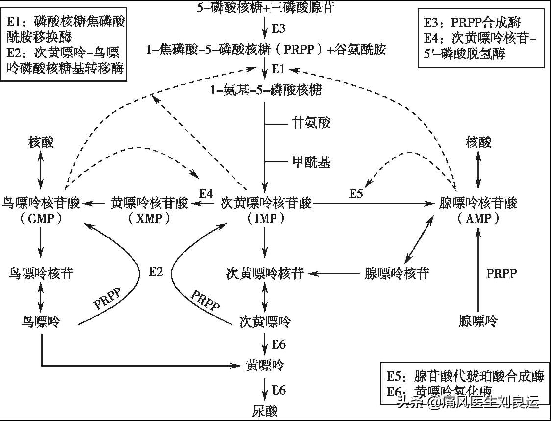 痛风是遗传因素大还是后天因素大,痛风是不是有遗传的因素呀