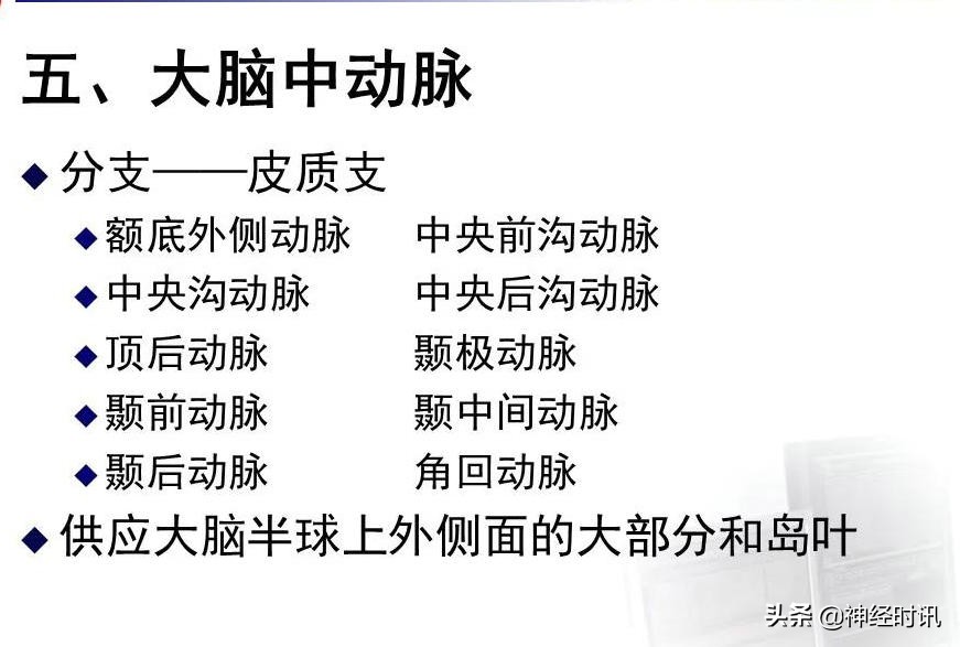 脑动脉解剖学讲解,脑膜中动脉解剖讲解