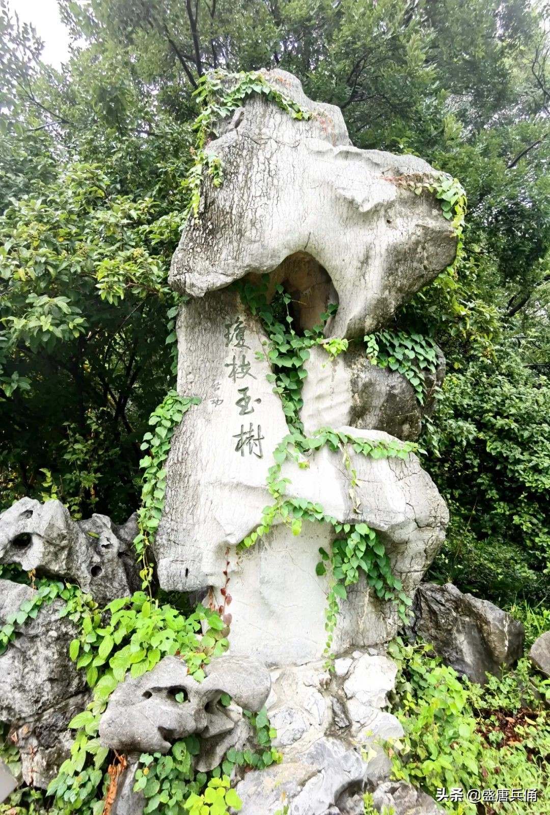 扬州｜垂杨不断接残芜，雁齿红桥俨画图