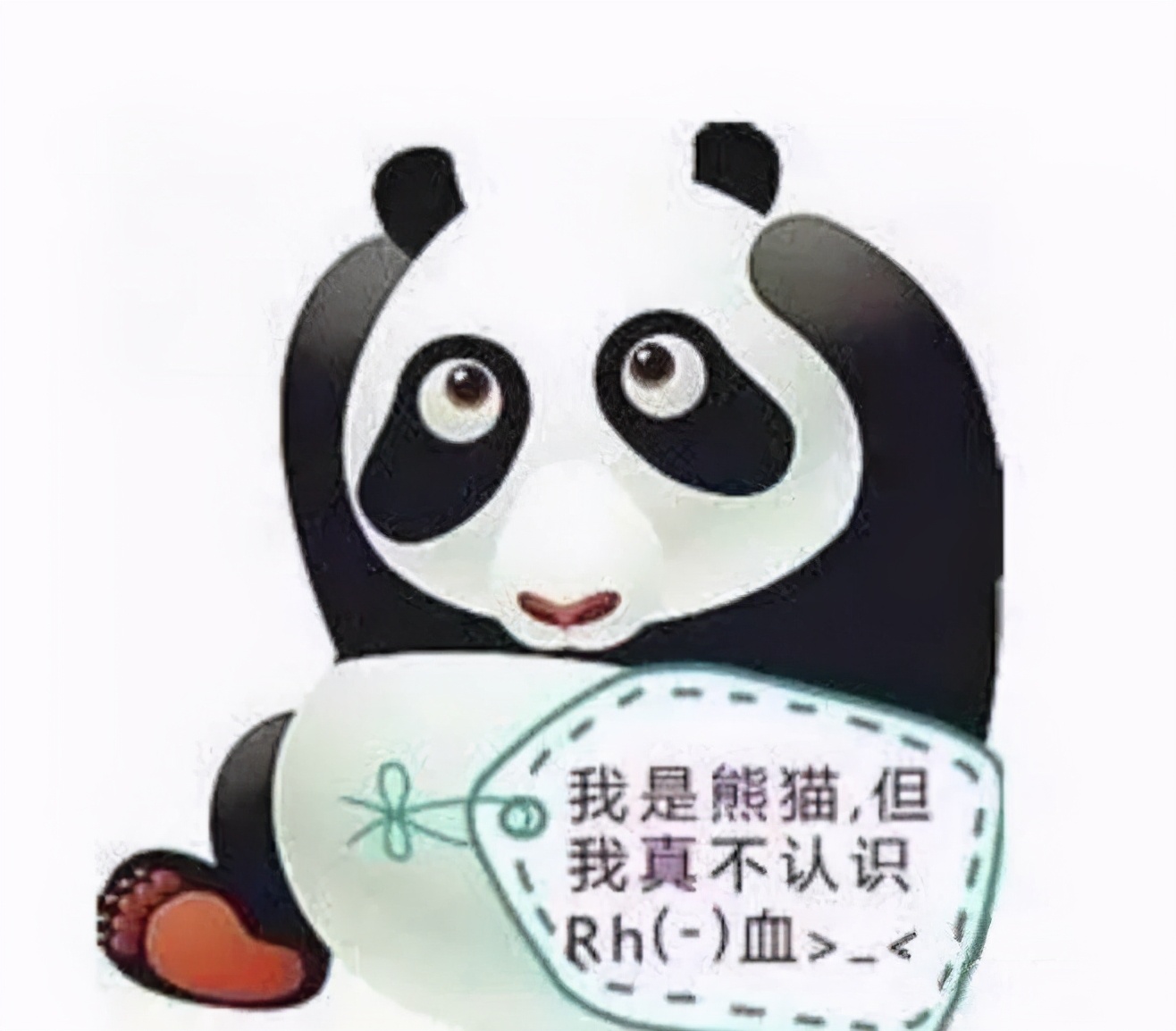 世界上只有一例的罕见血型,南京罕见血型