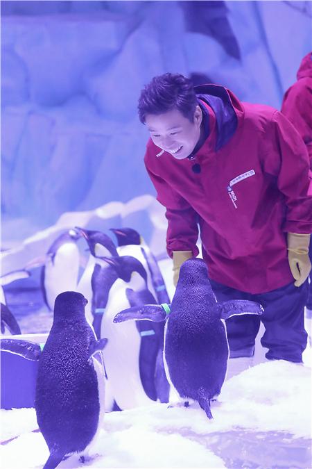 现实版“QQ超级会员”惊现南极，网友：亮瞎了我的24K黄金瞳