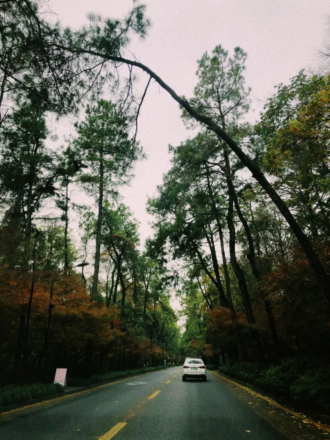 推荐冬天买的毛衣,秋冬平价毛衣推荐