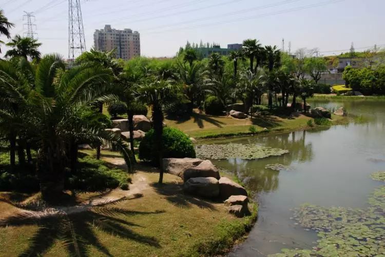 没学历在上海干什么可以挣15000,月薪不足5000的看过来