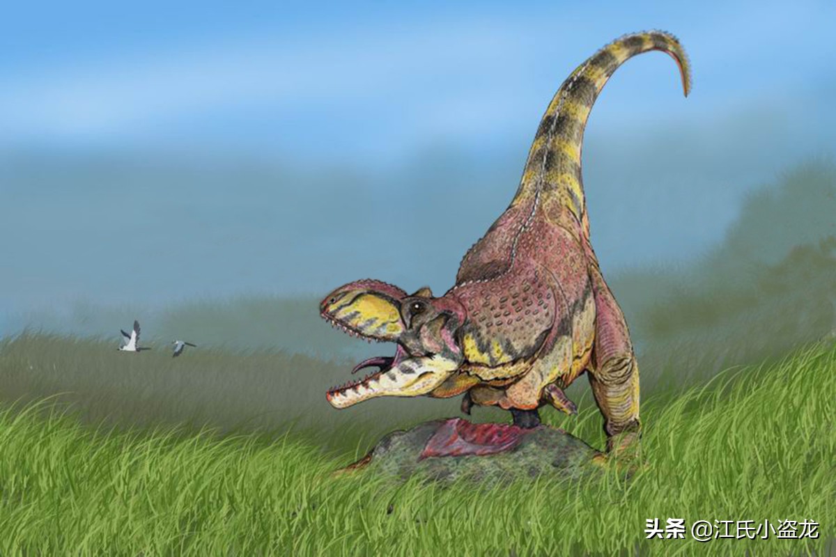 古生物时代有多少种恐龙,人类已经发现了多少恐龙种类