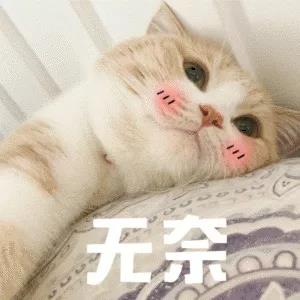 雀氏纸尿裤好用还是巴布豆好用,十大平价好用纸尿裤公认雀氏