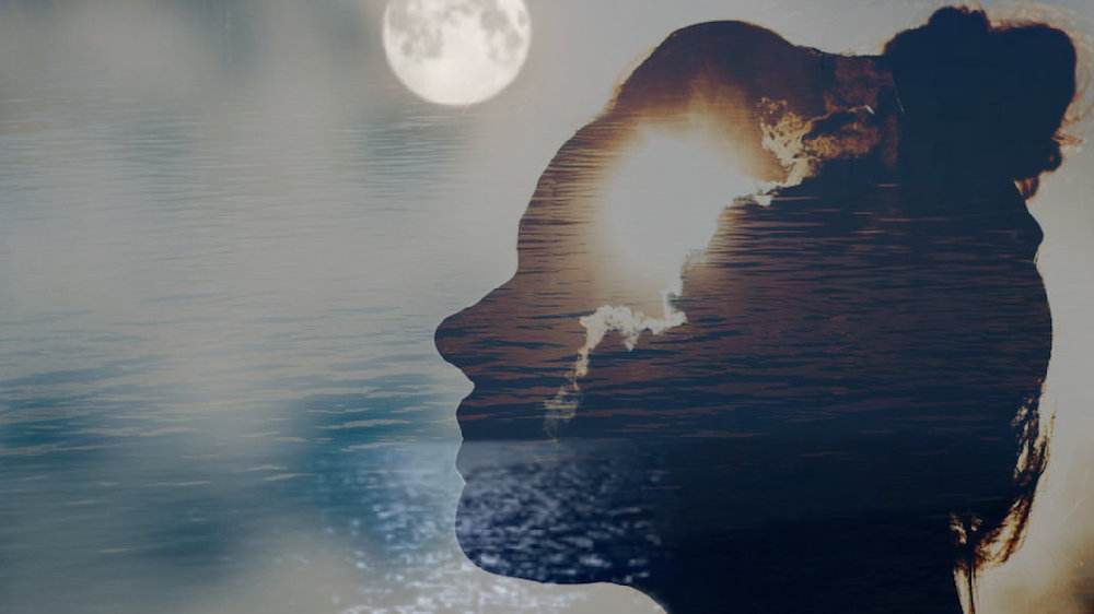 心理学家女人特征,心理学家的女人特点