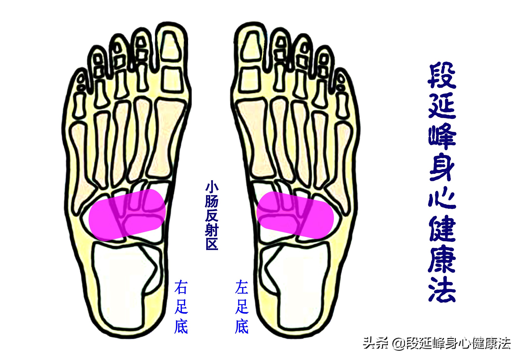 心中有术三个小妙招解决便秘,便秘费力怎么办