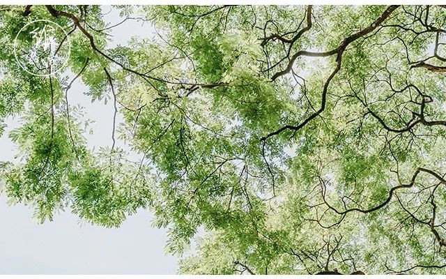 挣钱却倒贴的人，都对借这件事有些误解