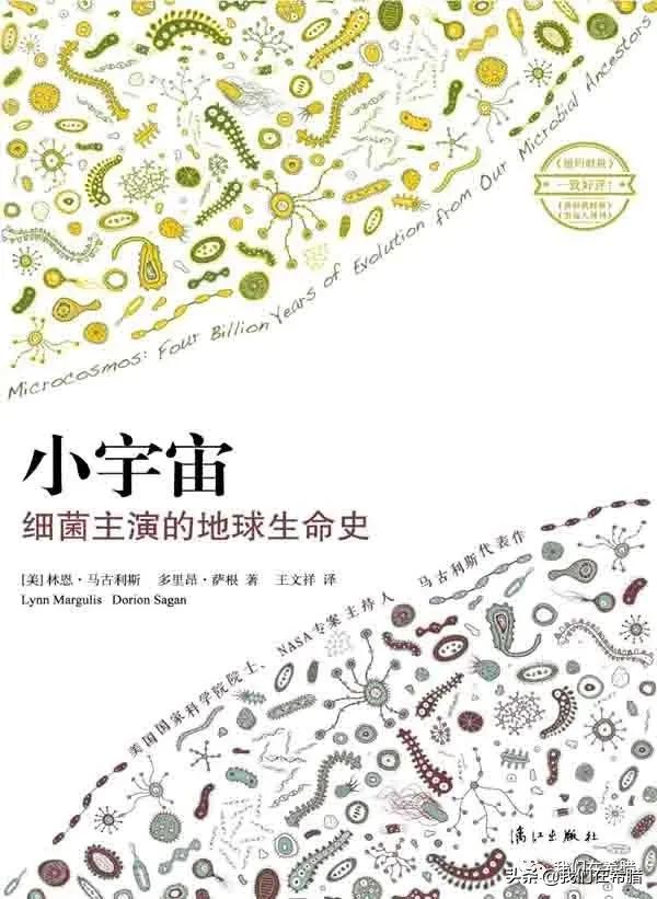 希腊已经确诊三例了，如何让宅在家里的生活变的更有意义？