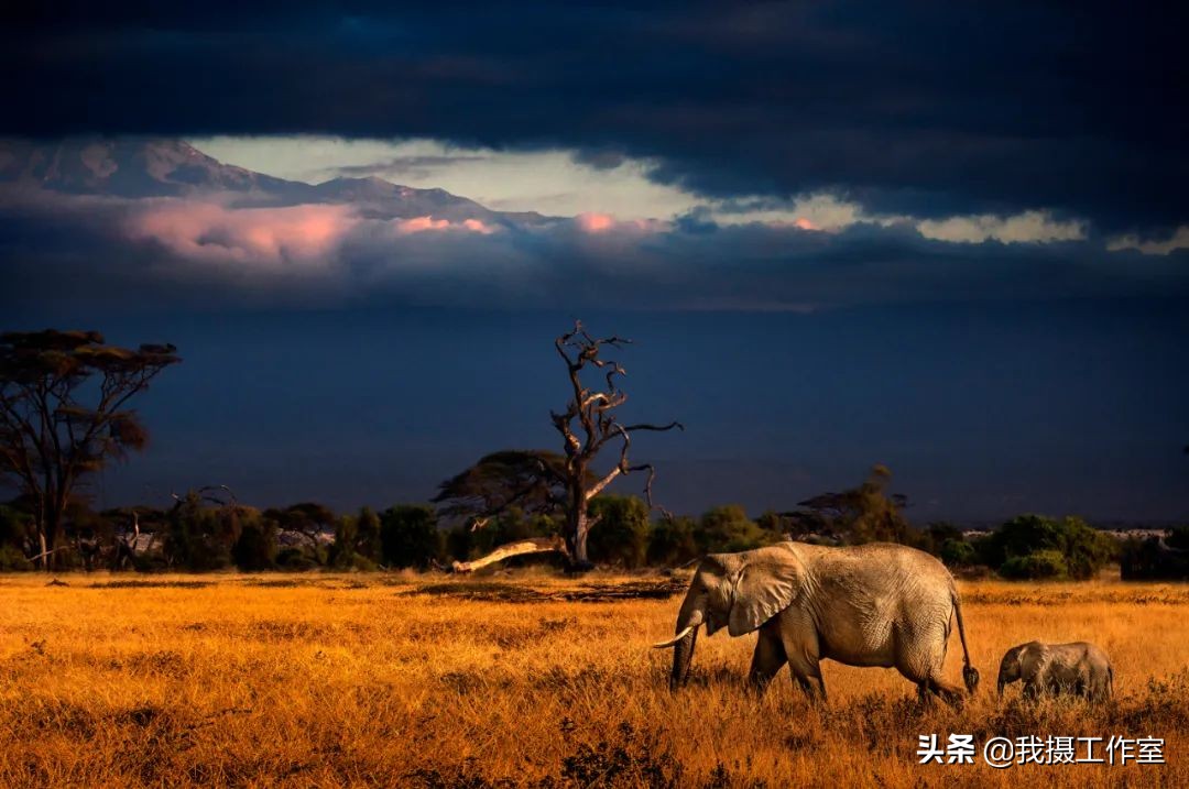 第16届国际摄影艺术展获奖作品,第29届全国摄影艺术展览作品集