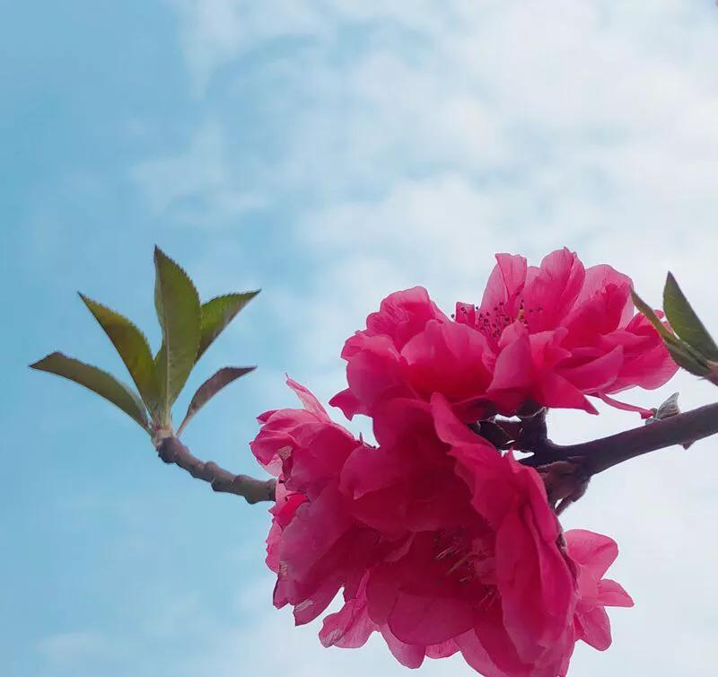 2022年世界手机摄影大赛征稿,手拍世界摄影网