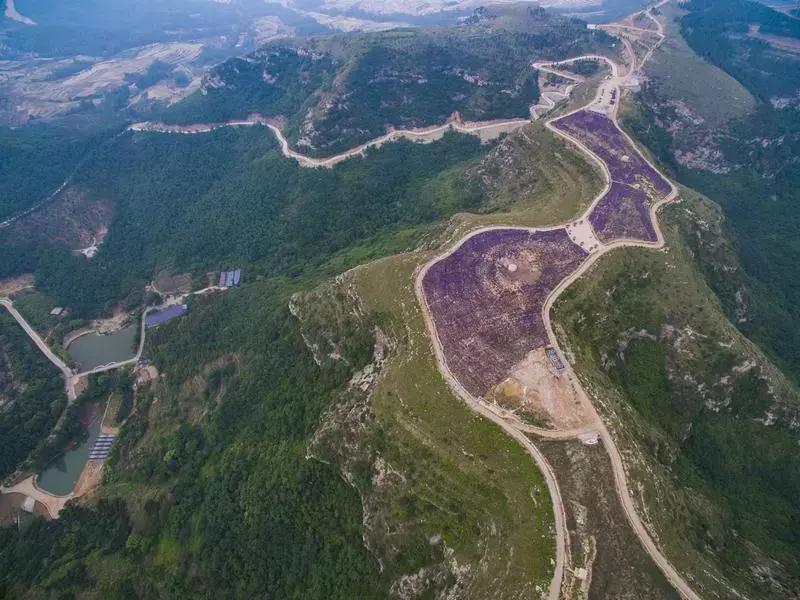 紫色胜境美翻了，世界第三大薰衣草芳香小镇竟然就在山东潍坊