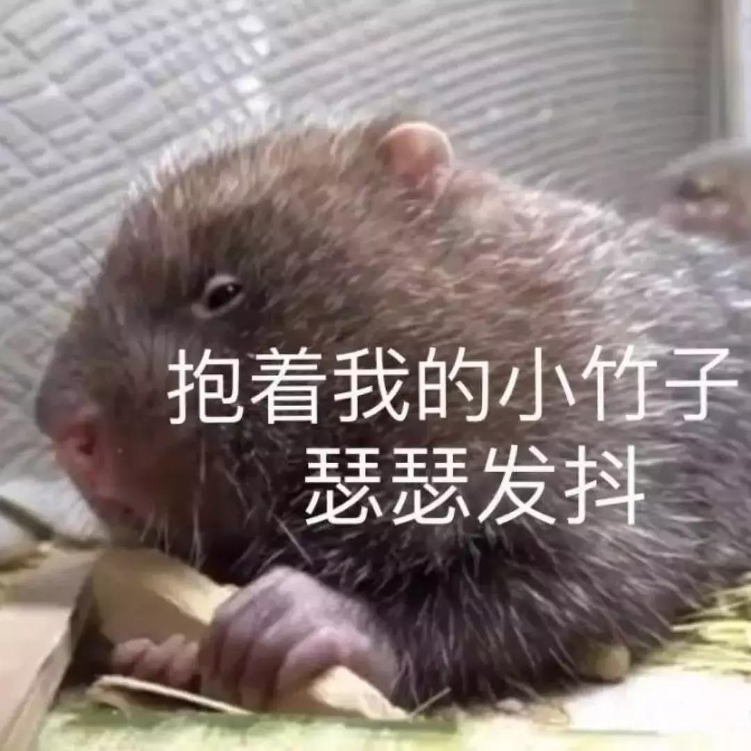 小红书口碑推荐店铺,小红书热卖产品排行榜