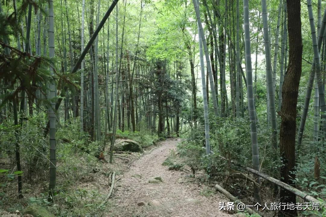 这座被央视挖掘的江南小城，比乌镇古朴，比苏杭好吃