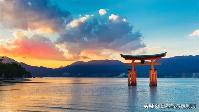 日本最美小景点,日本超美的花海美景