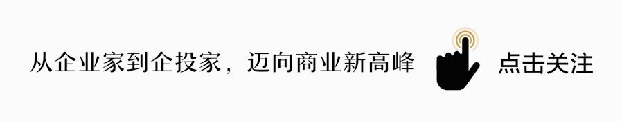 上市公司财务造假审计,上市公司造假审计什么责任